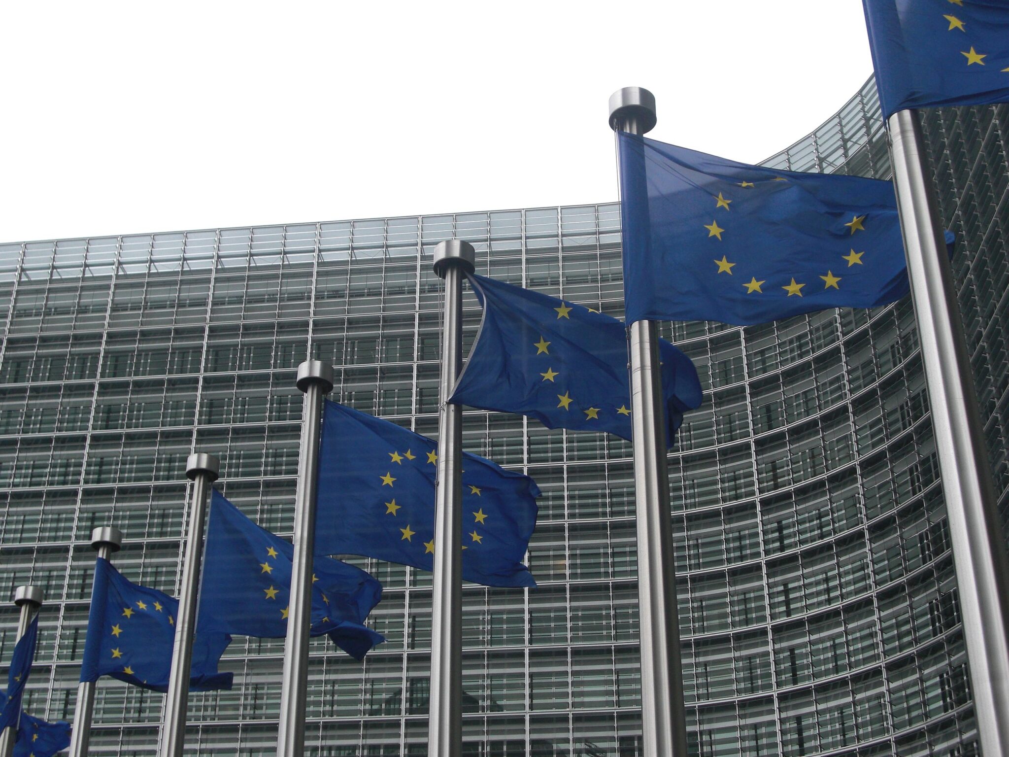 Image HGS on Tariffs: “Europe Needs to Act Quickly to Secure a Resolution Before the Situation Spirals Out of Control”